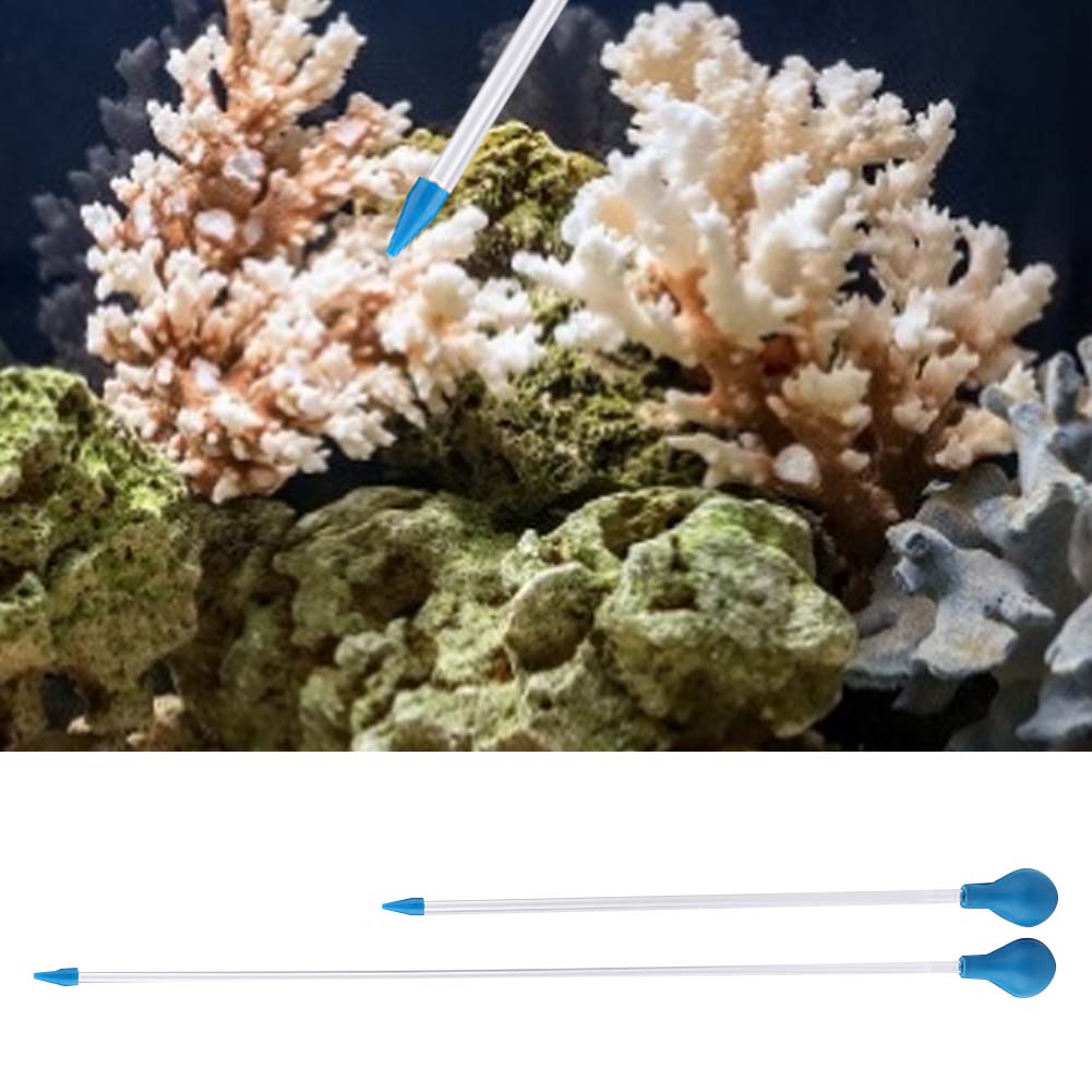 Acryl koraalvoedingsbuisje met - Lab Pipette Tip recensie en prijs